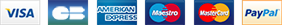 Payment Icons